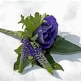 fwthumbveronica buttonhole.jpg